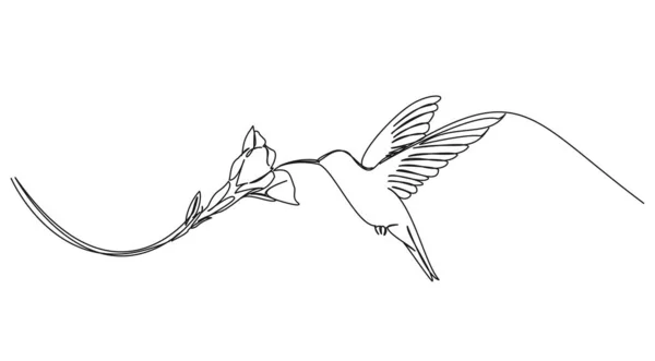 Kontinuerlig Enda Linje Ritning Kolibri Svävar Medan Utfodring Blomma Linje — Stock vektor