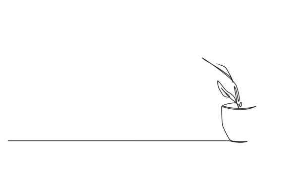 Animovaný Souvislý Jednořádkový Výkres Rostliny Květináčích Line Art Animace — Stock video