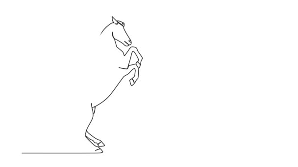 Animowany Ciągły Rysunek Jednoliniowy Konia Hodowlanego Animacja Sztuki Liniowej — Wideo stockowe