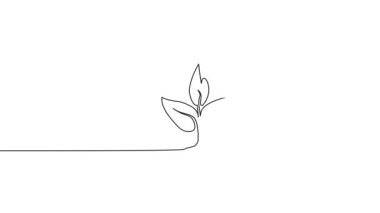 Genç bitkinin renkli tek çizgi çizimi, büyüme kavramı sanat animasyonu