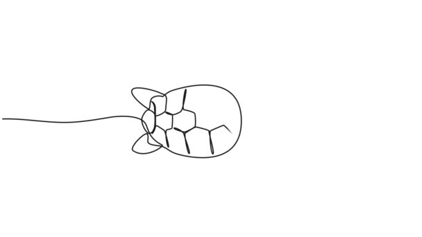 Desenho Linha Única Contínua Colorido Animado Tartaruga Água Animação Arte — Vídeo de Stock