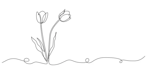 Ciągły Pojedyncza Linia Rysunek Tulipanów Świeże Kwiaty Linia Sztuka Wektor — Wektor stockowy
