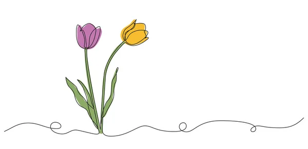 Kolorowe Ciągłe Pojedyncze Linii Rysunek Tulipanów Świeże Kwiaty Linii Sztuki — Wektor stockowy