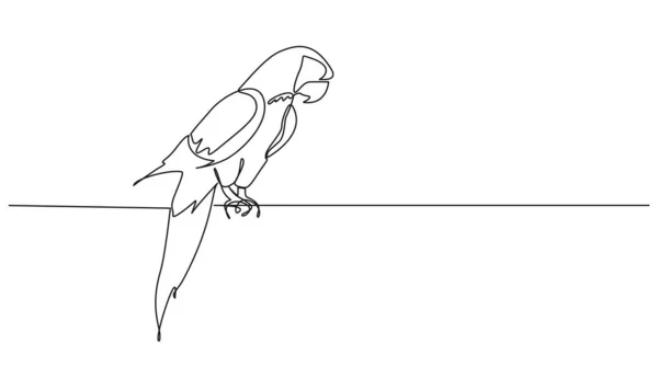 Непрерывный Рисунок Одной Линии Попугая Векторная Иллюстрация Линии — стоковый вектор