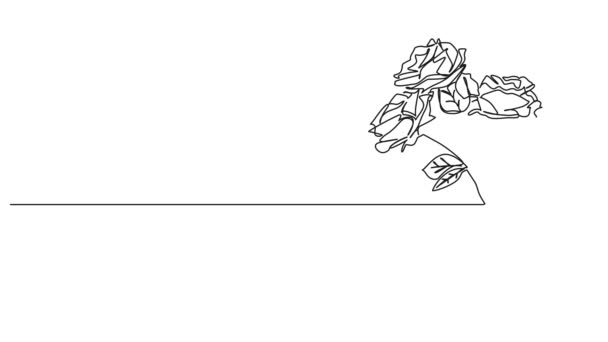 Animated Continuous Single Line Drawing Small Bouquet Roses Bunch Flowers — Stock Video