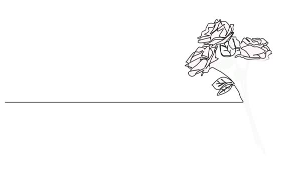 Animated Colorized Συνεχή Μονόχρωμη Γραμμή Σχέδιο Μικρό Μπουκέτο Τριαντάφυλλα Δέσμη — Αρχείο Βίντεο
