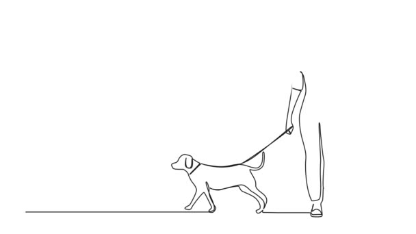 Анімований Безперервний Однорядковий Малюнок Жінки Гуляє Собакою Художня Анімація Лінії — стокове відео