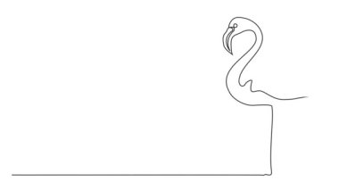 Flamingo 'nun sürekli tek çizgi çizimi, çizgi sanat animasyonu