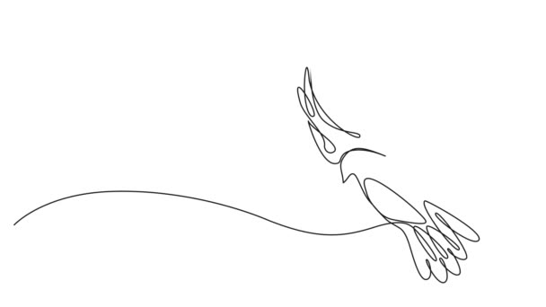Animated Continuous Single Line Drawing Dove Line Art Animation — Stock Video