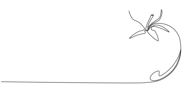 Desenho Linha Única Contínua Animada Tomate Maduro Animação Arte Linha — Vídeo de Stock