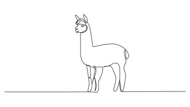 Bir alpaka, çizgi sanat vektörü illüstrasyonunun sürekli tek çizgi çizimi