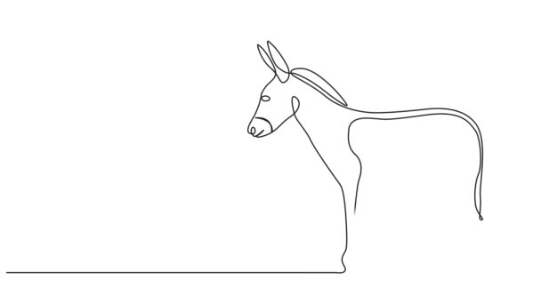 Animated Continuous Single Line Drawing Donkey Line Art Animation — Stockvideo