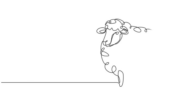 Evcil Koyunların Sürekli Çizimleri Çizgi Çizimleri — Stok video