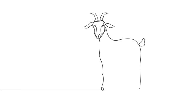 Bir Keçinin Sürekli Tek Çizgi Çizimi Çizgi Sanat Animasyonu — Stok video
