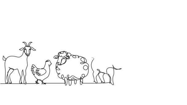 Animierte Fortlaufende Einzeilige Zeichnung Von Nutztieren Animation Der Tierhaltung — Stockvideo