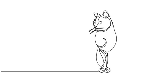 Анимированный Непрерывный Рисунок Одной Линии Сидящей Кошки Анимация Линейного Искусства — стоковое видео