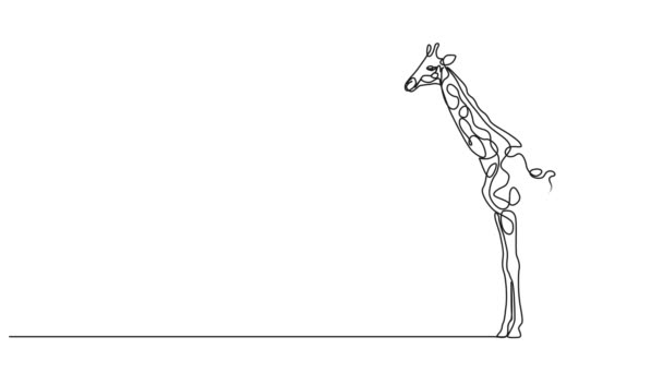 Bir Zürafanın Sürekli Tek Çizgi Çizimi Çizgi Sanatı Animasyonu — Stok video