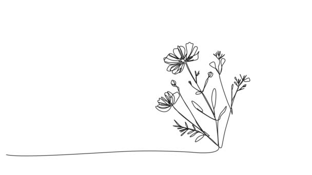 Animovaný Souvislý Jednořádkový Výkres Divokých Květin Line Art Animace — Stock video
