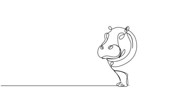 Dibujo Continuo Animado Una Sola Línea Hipopótamo Animación Arte Línea — Vídeo de stock