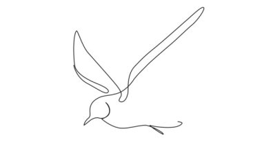 Uçan bir martının sürekli tek çizgi çizimi, çizgi sanatı animasyonu