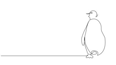 animasyonlu tek çizgili penguen çizimi, çizgi sanatı animasyonu