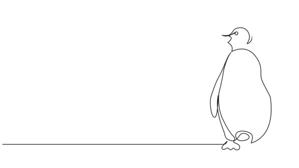 Анимированный Непрерывный Рисование Одной Линии Пингвина Линейная Анимация Искусства — стоковое видео