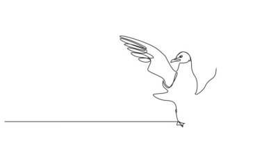 Duran martıların sürekli tek bir çizgi çizimi, kanatlar açık, çizgi sanat animasyonu