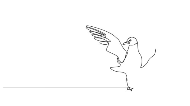 Animierte Fortlaufende Einzeilige Zeichnung Der Stehenden Möwe Gespreizte Flügel Animation — Stockvideo