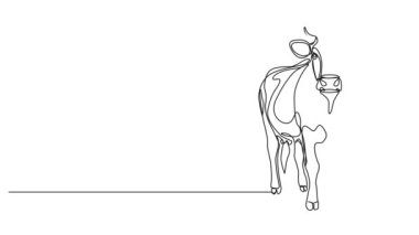 bir ineğin sürekli tek çizgi çizimi, çizgi sanat animasyonu