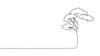 Geniş yapraklı bir ağacın sürekli tek çizgi çizimi, çizgi sanatı animasyonu