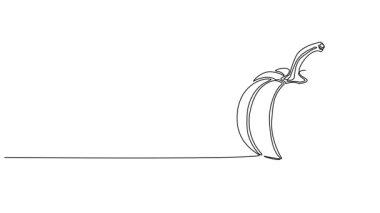 bir balkabağı çizimi, çizgi sanat animasyonu.