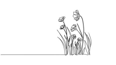 Vahşi çiçeklerin aralıksız çizimi, çizgi sanatı animasyonu