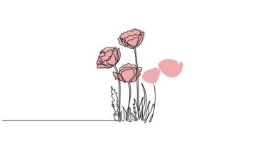 Haşhaş çiçeklerinin sürekli çizimi, çizgi sanatı animasyonu