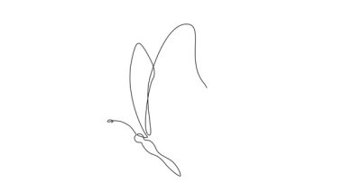 bir kelebeğin sürekli tek çizgi çizimi, çizgi sanat animasyonu