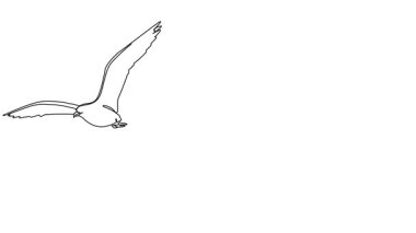 martı uçuşunun sürekli tek çizgi çizimi, çizgi sanat animasyonu