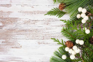 Her zaman yeşil dalları, beyaz böğürtlenleri ve kozalakları olan kış kenarı sınırı. Kopyalama alanı olan kırsal beyaz ahşap arkaplan üzerinde genel görünüm.