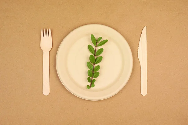 Eco friendly disposable dishware. Plate, fork and knife on a brown paper background. Biodegradable, composable alternative to plastic. Overhead view.