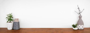 Ev dekorasyonu ve bitkiler bir rafta. Beyaz bir duvara karşı ahşap bir rafta kil vazolar ve sulu bitkiler. Kopyalama alanı olan pankart.