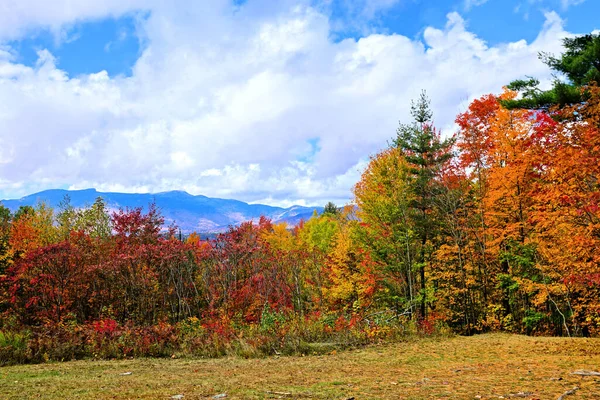Blick Durch Herbstbäume Auf Die Berge Bei Stowe Vermont Usa — Stockfoto