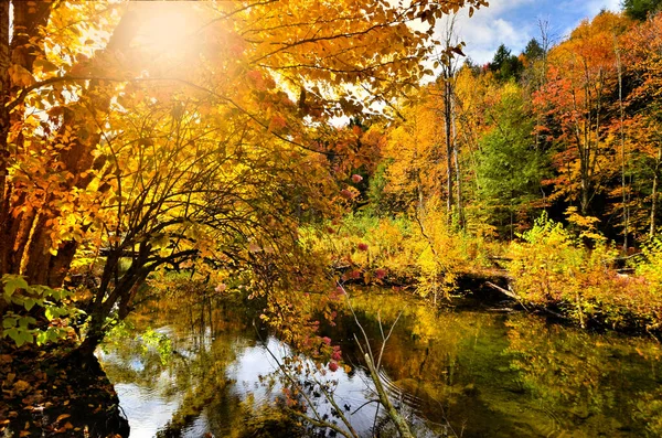 Sonnenlicht Durch Herbstblätter Entlang Eines Ruhigen Flusses Mit Spiegelungen Vermont — Stockfoto