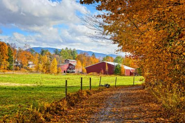 Stowe, Vermont, ABD yakınlarındaki kırmızı ahşap ahır ile canlı düşen sonbahar yaprakları boyunca patika