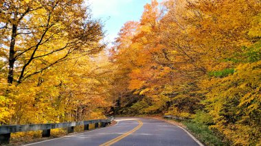 Road through vibrant autumn colors, Smuggler's Notch, Vermont, USA clipart