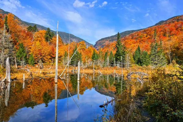 Piękne Jesienne Kolory Wzdłuż Jeziora Odbiciami Zielonej Okolicy Gór Vermont — Zdjęcie stockowe