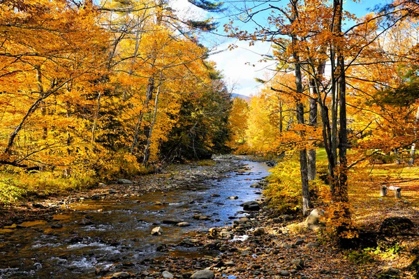 Lindas Cores Outono Longo Rio Perto Stowe Vermont Eua — Fotografia de Stock