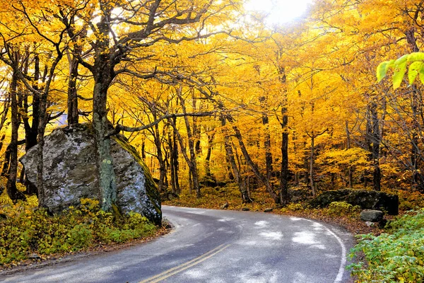 Colores Otoño Vibrantes Sol Con Sinuoso Camino Contrabandista Notch Vermont —  Fotos de Stock