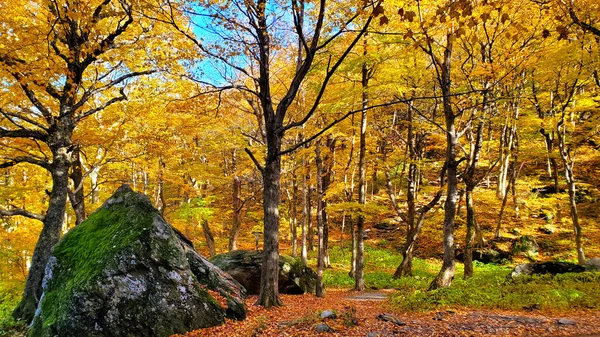 Schöne Herbstfarben Von Smuggler Notch Vermont Usa — Stockfoto