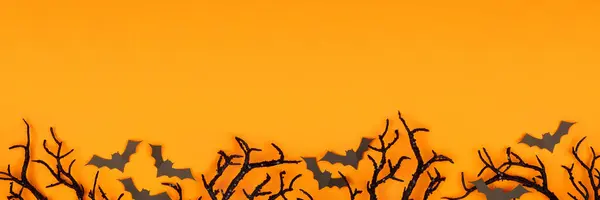 Halloween Borda Inferior Morcegos Assustadores Galhos Negros Visão Superior Sobre — Fotografia de Stock