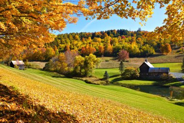 Woodstock, Vermont, ABD yakınlarındaki rengarenk yapraklar ve kırsal ahşap ahırlar ile sonbahar kırsalında