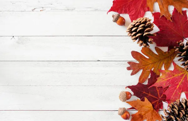 Kleurrijke Herfstbladeren Noten Dennenappels Zijrand Een Witte Houten Achtergrond Bovenaanzicht — Stockfoto