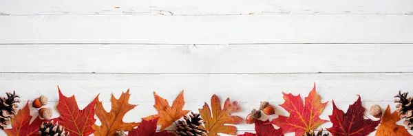 Kleurrijke Herfstbladeren Noten Dennenappels Onderste Rand Een Witte Houten Banner — Stockfoto
